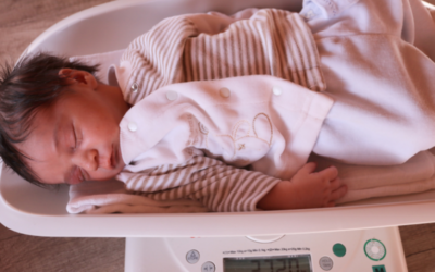 Poids de naissance, perte de poids et don de compléments en maternité aux nouveaux-nés allaités : revue de la littérature et étude critique