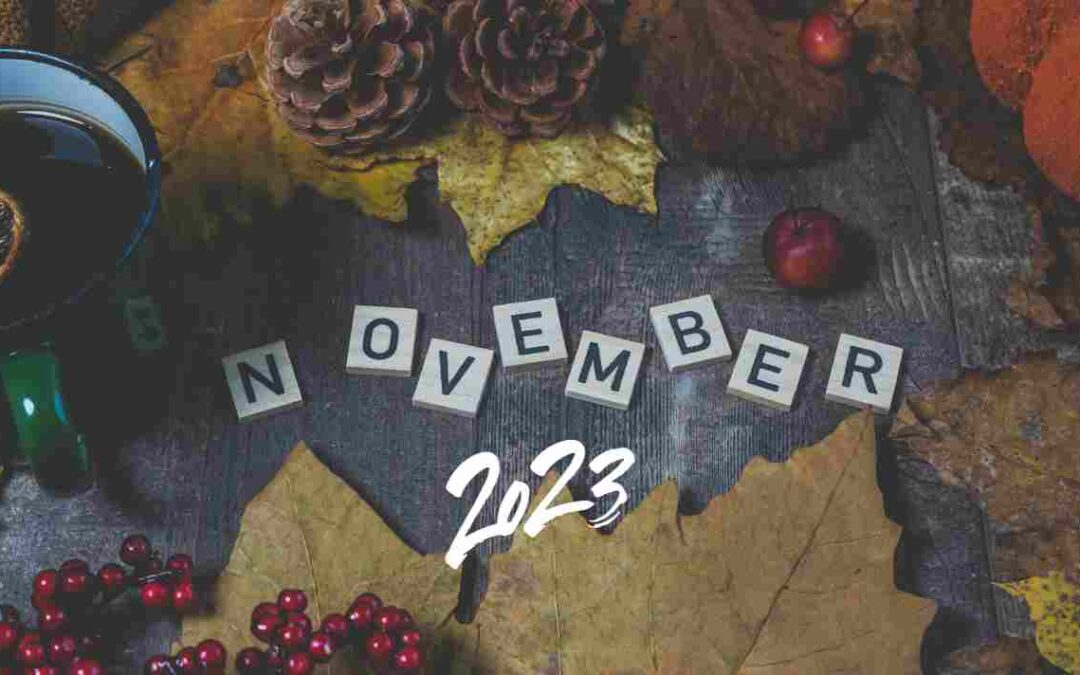 GAP/RAQ NOVEMBRE 2023